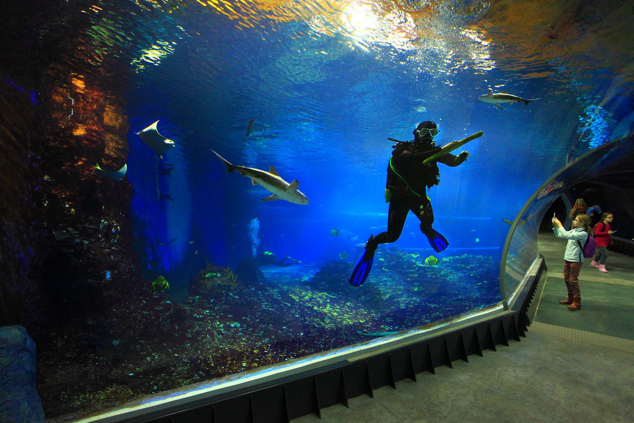 zoo nurek afrykanarium